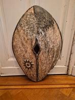 Bouclier Kikuyu, Enlèvement