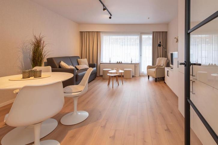 Nieuwpoort-Bad gezellige vakantiestudio hondje welkom, Immo, Appartementen en Studio's te huur