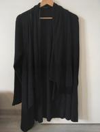 grijze vest met sjaaltje eraan, Kleding | Dames, Ophalen of Verzenden, Gedragen, Maat 38/40 (M), Zwart