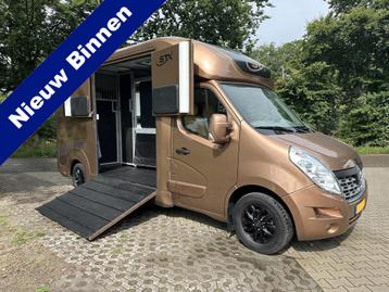 Renault Master STX 2-paards paardenvrachtwagen 170PK AUTOMAA beschikbaar voor biedingen
