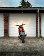 Triumph Street Twin 900, Motos, Motos | Triumph, Permis Moto A, Entreprise, Plus de 35 kW, 2 cylindres