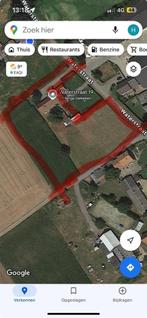 Te koop weilanden met stalling, Immo, Bree, Verkoop zonder makelaar, 1500 m² of meer