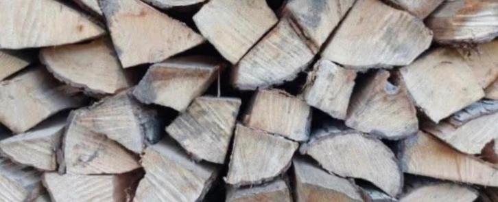 Elzenhout, Tuin en Terras, Brandhout, Blokken, Elzenhout, 3 tot 6 m³, Ophalen