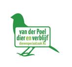 Vogels te koop gevraagd ( in nl ), Dieren en Toebehoren, Meerdere dieren, Geringd