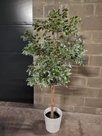 Grande plante artificielle (figuier), Enlèvement, Comme neuf, Intérieur