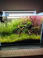 Diverse aquariums + toebehoren, Dieren en Toebehoren, Ophalen, Zo goed als nieuw, Gevuld zoetwateraquarium