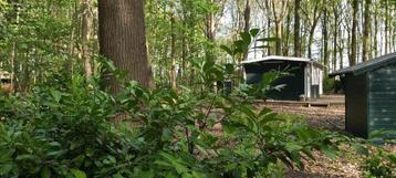 Te koop 2025 / 2026 te zonnebeke zomerhuis + groot stuk bos  beschikbaar voor biedingen