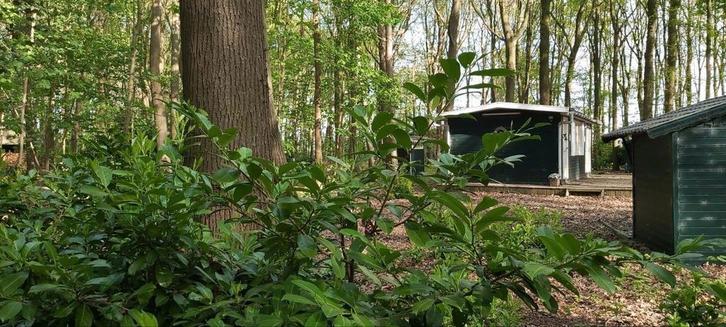 Te koop 2025 / 2026 te zonnebeke zomerhuis + groot stuk bos, Immo, Buitenverblijven te koop