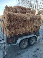 Kleine balen stro en hooi, Ophalen of Verzenden