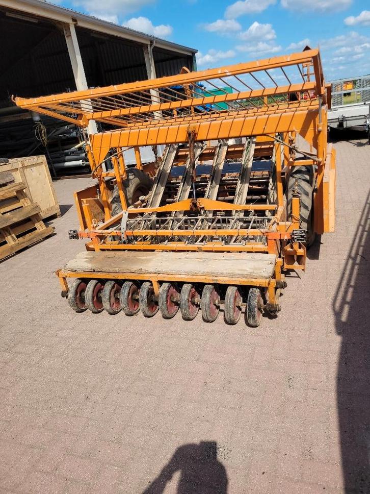 regero slaplanter 5 rij, Jardin & Terrasse, Plantes | Jardin, Enlèvement