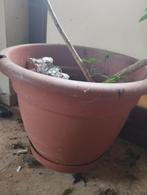Gros pot, Tuin en Terras, Bloempotten, Ophalen, Kunststof, Gebruikt, 40 cm of meer