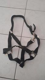 Halster, Dieren en Toebehoren, Ophalen of Verzenden, Zo goed als nieuw