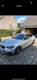 Bmw 220i 2019!, Auto's, BMW, Automaat, Achterwielaandrijving, Stuurwielverwarming, Zwart