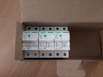 Schneider automaat 2P 32A (3 stuks, nieuw), Doe-het-zelf en Bouw, Ophalen, Nieuw