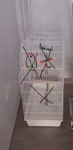 Witte vogelkooi, Dieren en Toebehoren, Ophalen, Vogelkooi