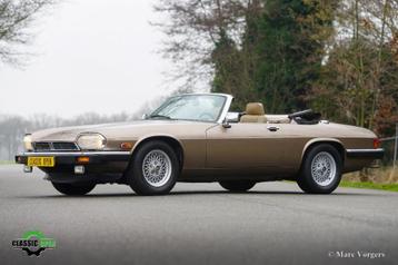 Zeer mooie Jaguac XJS-C V12 uit 1990 beschikbaar voor biedingen