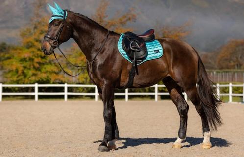LeMieux Loire Azure Spring CC dekje GRATIS VERZENDING, Dieren en Toebehoren, Paarden en Pony's | Dekens en Dekjes, Nieuw, Dekje