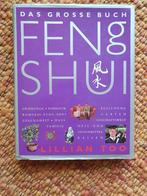 FENG SHUI LILIAN AUSSI, Livres, Philosophie, Comme neuf, Enlèvement ou Envoi, Philosophie de la culture