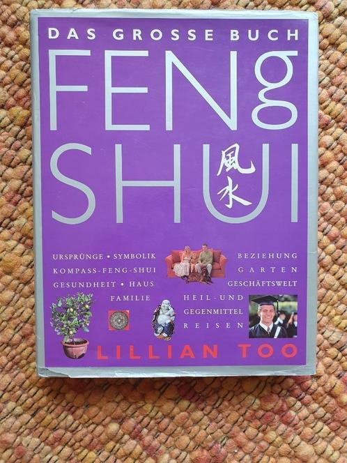 FENG SHUI LILIAN AUSSI, Livres, Philosophie, Comme neuf, Philosophie de la culture, Enlèvement ou Envoi