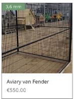 PAPEGAAIENKOOI KOOPDAGEN BESTE PRIJS KWALITEIT STOCK, Dieren en Toebehoren, Ophalen of Verzenden