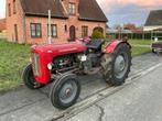 Massey Ferguson 35X Oldtimer tractor, Zakelijke goederen, Landbouw | Tractoren, Oldtimer, Massey Ferguson