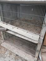 Clapiers à lapins en béton avec mangeoire pour 4 lapins, Dieren en Toebehoren, Knaagdieren en Konijnen | Hokken en Kooien, Ophalen