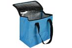 koeltas 12L, Verzenden, Nieuw, Koeltas, Koelelement