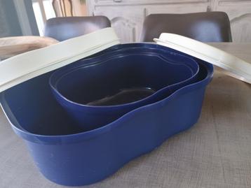 Tupperware broodtrommels en kannen beschikbaar voor biedingen