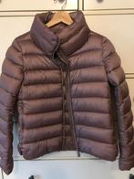 Donsjas Save the Duck, maat 1= maat 36, Overige kleuren, Ophalen of Verzenden, Zo goed als nieuw, Save the duck