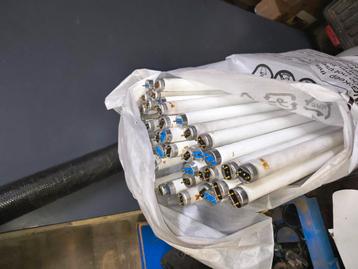 TL lampen 36w beschikbaar voor biedingen