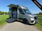 Mercedes-Benz Sprinter 315 AMG 2-paards paardenvrachtwagen B, Dieren en Toebehoren, Zo goed als nieuw, Overige typen