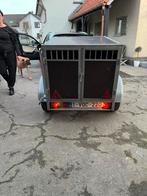 Hondenaanhanger voor 2 honden, Auto diversen, Ophalen, Zo goed als nieuw