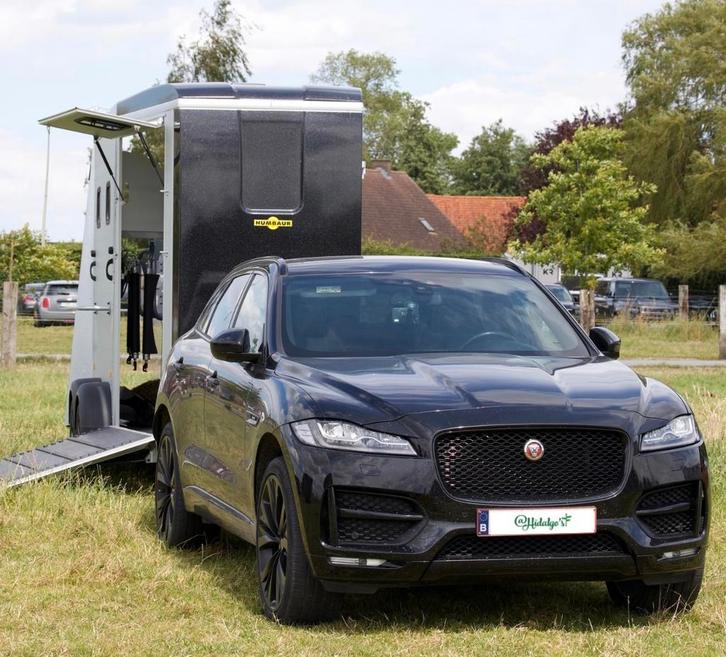 Paardentransport/Paardentaxi by @Hidalgo’s (Paardenvervoer), Dieren en Toebehoren, Paarden en Pony's | Trailers en Aanhangwagens