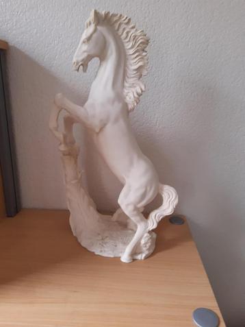 Paard beschikbaar voor biedingen