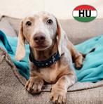 Schattige Teckels – Speels en aanhankelijk te koop, Dieren en Toebehoren, 15 weken tot 1 jaar, Parvo, Meerdere, Reu