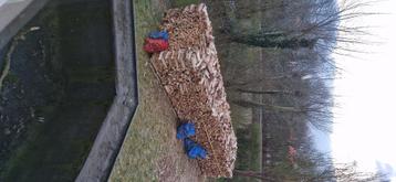 Hard brandhout es en kastanje beschikbaar voor biedingen