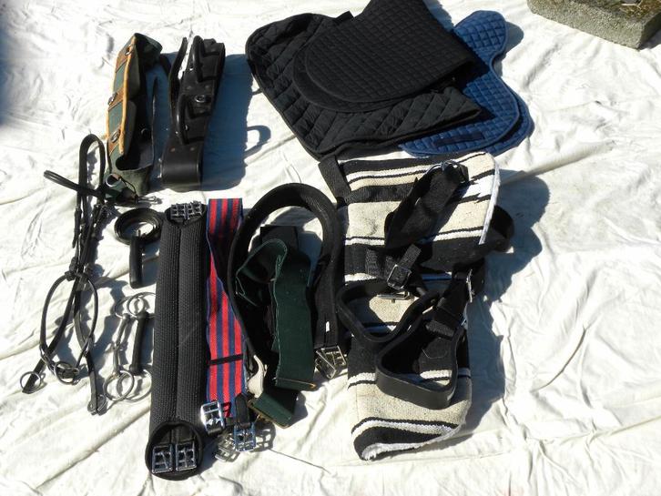 Divers articles d'équitation Neufs, Dieren en Toebehoren, Paardrijkleding, Dressuur, Ophalen of Verzenden