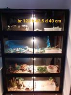 Terrarium, Ophalen, Zo goed als nieuw, Terrarium of Paludarium