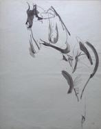 JOS HENDRICKX / GEBOGEN NAAKT / ORIGINEEL / 65x51cm STEMPEL, Antiek en Kunst, Ophalen of Verzenden