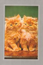 2  MOOIE  TWEELING  KATJES, Collections, Cartes postales | Animaux, Envoi, 1980 à nos jours, Affranchie, Chien ou Chat