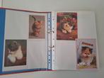 Ringmap vol postkaarten en grote foto's katten, Verzamelen, Ophalen, Zo goed als nieuw