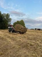 Hooi te koop, Dieren en Toebehoren, Ophalen