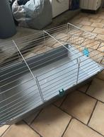 Cage lapin,hamster avec accessoires foin, Animaux & Accessoires, Neuf, Rat, Moins de 60 cm, 75 à 110 cm