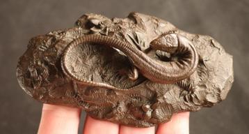 Antiek bronzen salamander sculptuur beschikbaar voor biedingen