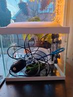 Aquarium Superfish, Dieren en Toebehoren, Ophalen