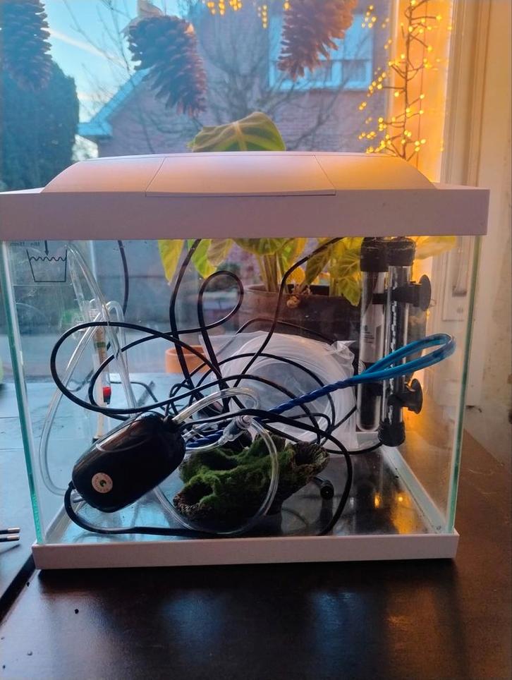 Aquarium Superfish, Dieren en Toebehoren, Vissen | Aquaria en Toebehoren, Ophalen