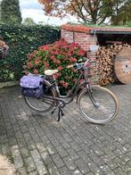 Damesfiets “frappé” niet electrich, Fietsen en Brommers, Ophalen, 47 tot 50 cm, Zo goed als nieuw, Handrem