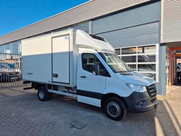 Mercedes-Benz Sprinter 519 CDI Kuhlkoffer -20+20/ Carrier Xa beschikbaar voor biedingen