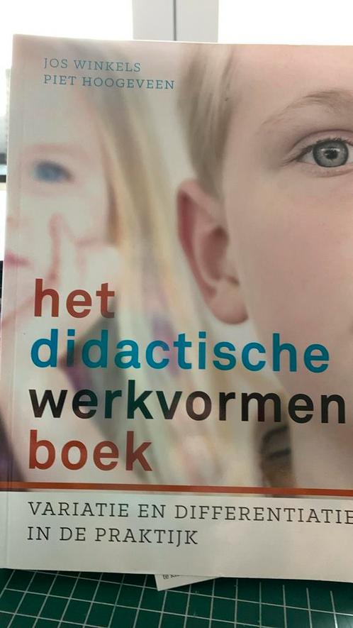 Piet Hoogeveen - Het didactische werkvormenboek, Boeken, Wetenschap, Zo goed als nieuw, Ophalen of Verzenden