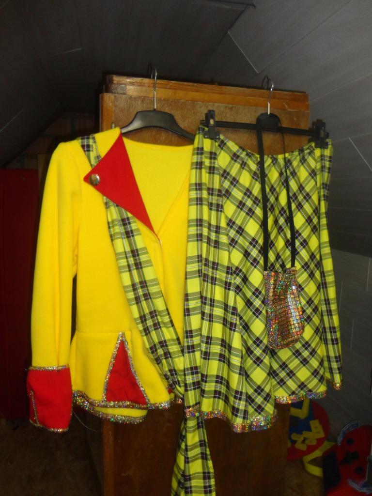 verschillende soorten carnaval kleding, Ophalen of Verzenden, Kleding